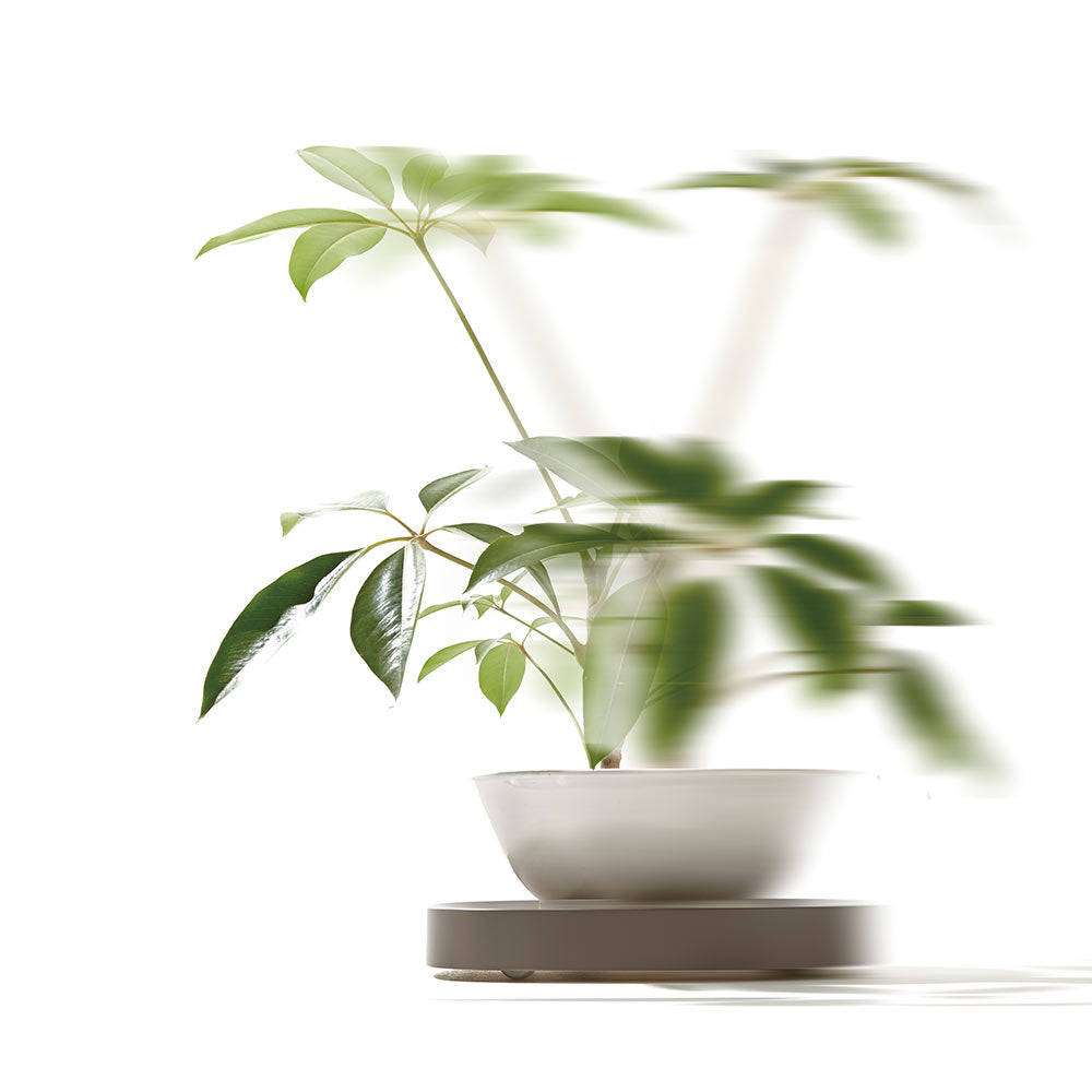Plantable