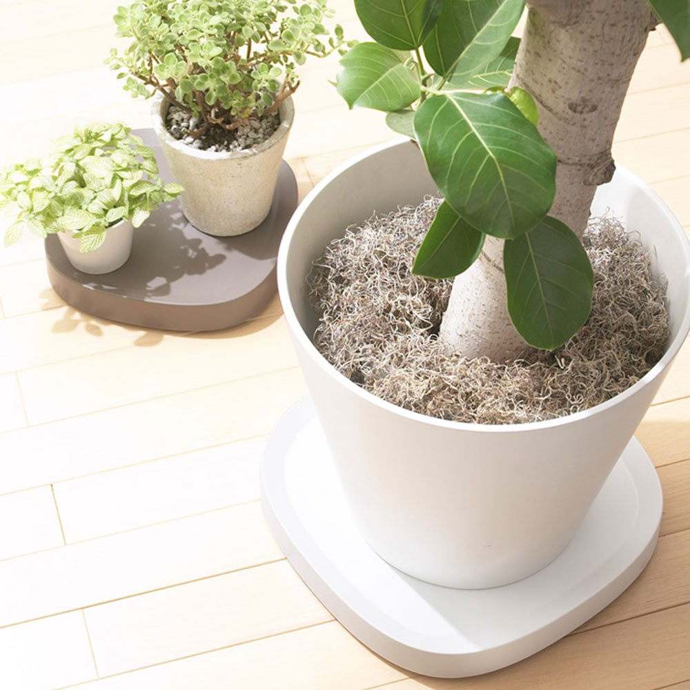 Plantable