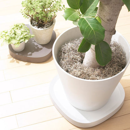Plantable