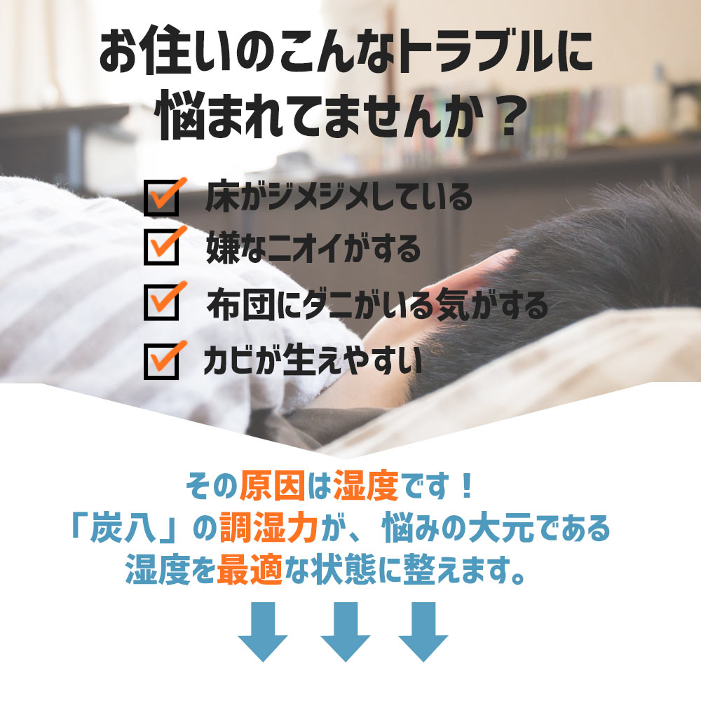 炭八 2重袋のスマート小袋 10個セット