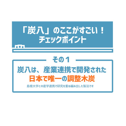 炭八 2重袋のスマート小袋 5個セット
