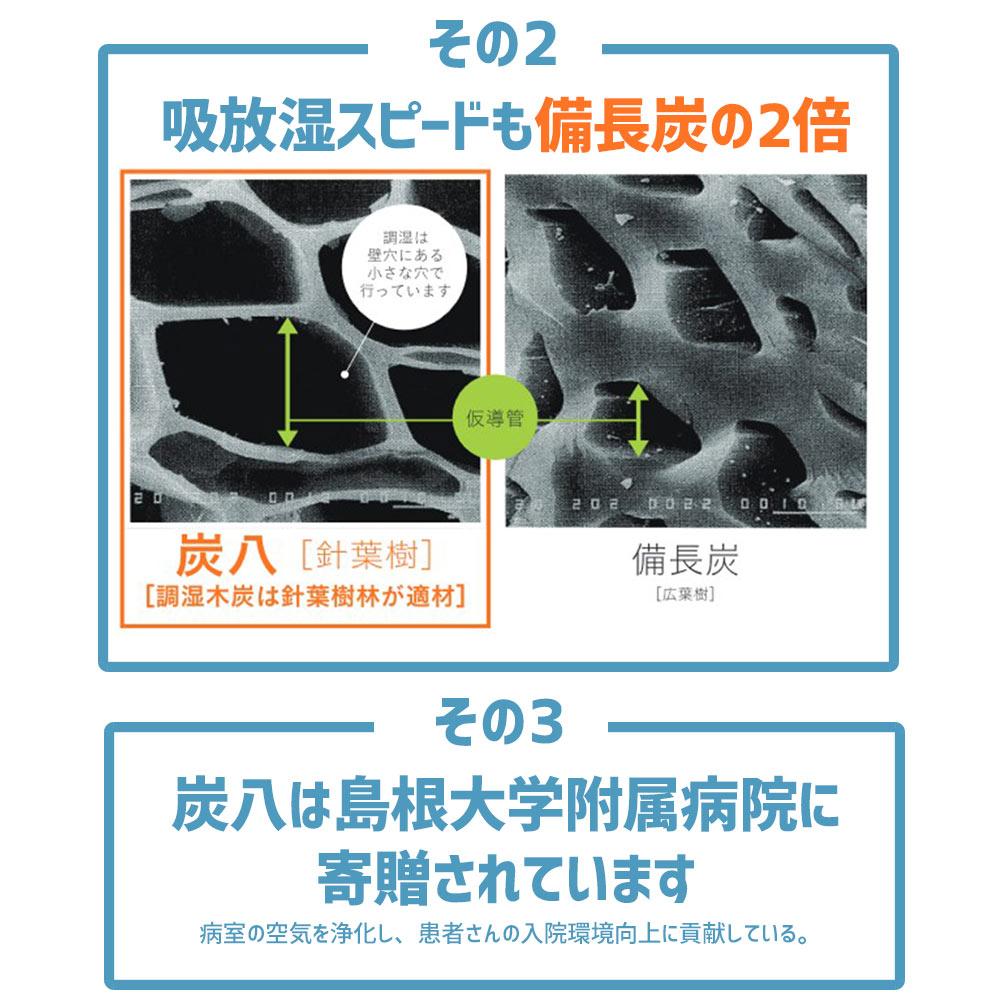 炭八 2重袋のスマート小袋 10個セット