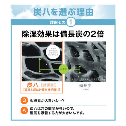 炭八 室内用 大袋 12L 8個セット