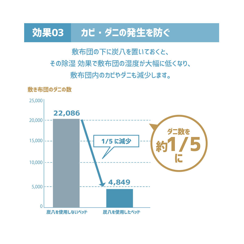 炭八トライアル8Lセット2