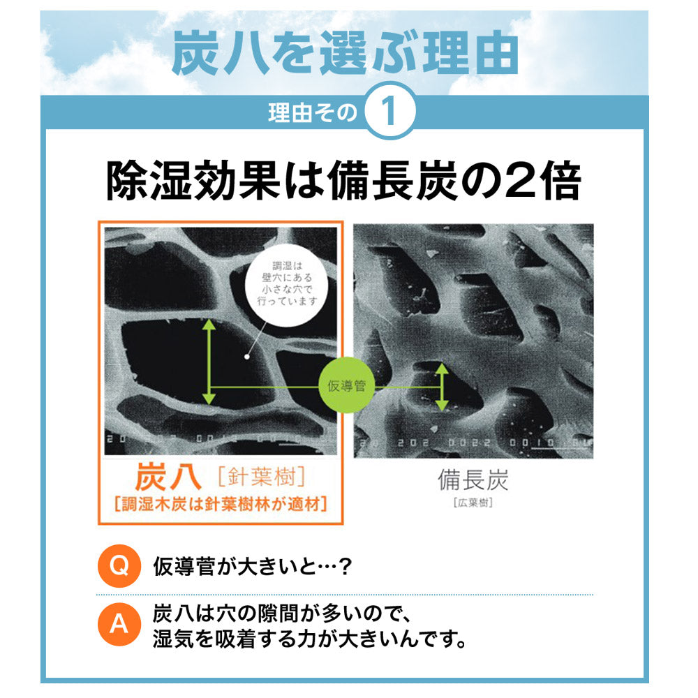 炭八 ミニ 選べるセット